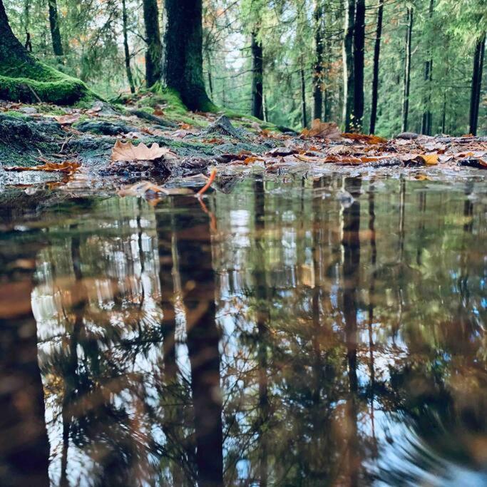 Panoramavy Naera Gbg Och Natur Olofstorp Екстериор снимка