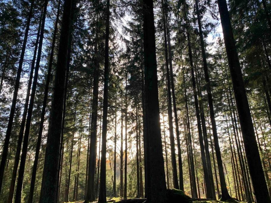 Panoramavy Naera Gbg Och Natur Olofstorp Екстериор снимка